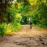 Wycieczka rowerowa na jesień